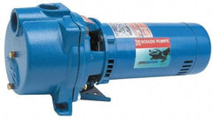 Goulds Pumps - 115/230 Volt, 16.2/8.1 Amp, 1 Phase, 1 HP, Self Priming Centrifugal Pump - 48J Frame, 1-1/2 Inch Inlet, 60 Max GPM, ODP Motor, Cast Iron Housing, Noryl Impeller, 118 Ft. Shut Off, Carbon Ceramic Mechanical Seal - Exact Tool & Supply