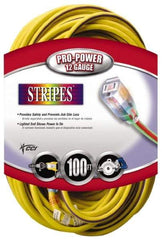 Southwire - 100', 12/3 Gauge/Conductors, Yellow/Purple Outdoor Extension Cord - 1 Receptacle, 15 Amps, 125 VAC, UL SJTW, NEMA 5-15P, 5-15R - Exact Tool & Supply