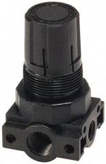 Parker - 3/8 NPT Port, Plastic Miniature Regulator - 0 to 60 psi Range, 150 Max psi Supply Pressure, 1/4" Gauge Port Thread, 2.06" Wide x 3.43" High - Exact Tool & Supply