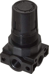 Parker - 1/4 NPT Port, Plastic Miniature Regulator - 0 to 25 psi Range, 150 Max psi Supply Pressure, 1/8" Gauge Port Thread, 1.6" Wide x 3.1" High - Exact Tool & Supply