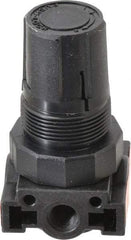 Parker - 1/4 NPT Port, Plastic Miniature Regulator - 0 to 125 psi Range, 150 Max psi Supply Pressure, 1/8" Gauge Port Thread, 1.6" Wide x 3.1" High - Exact Tool & Supply