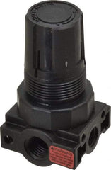 Parker - 1/4 NPT Port, Plastic Miniature Regulator - 0 to 125 psi Range, 150 Max psi Supply Pressure, 1/8" Gauge Port Thread, 1.6" Wide x 3.1" High - Exact Tool & Supply