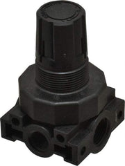 Parker - 3/8 NPT Port, Plastic Miniature Regulator - 0 to 60 psi Range, 150 Max psi Supply Pressure, 1/4" Gauge Port Thread, 2.06" Wide x 3.43" High - Exact Tool & Supply