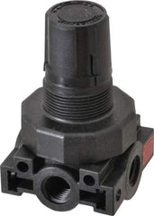 Parker - 1/4 NPT Port, Plastic Miniature Regulator - 0 to 125 psi Range, 150 Max psi Supply Pressure, 1/4" Gauge Port Thread, 2.06" Wide x 3.43" High - Exact Tool & Supply