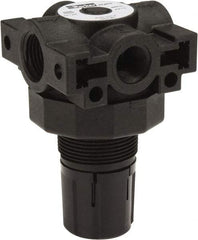 Parker - 3/8 NPT Port, Plastic Miniature Regulator - 0 to 125 psi Range, 150 Max psi Supply Pressure, 1/4" Gauge Port Thread, 2.06" Wide x 3.43" High - Exact Tool & Supply