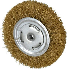 Value Collection - 6" OD, 5/8" Arbor Hole, Crimped Brass Wheel Brush - 1/2" Face Width, 1-1/8" Trim Length, 0.02" Filament Diam, 6,000 RPM - Exact Tool & Supply