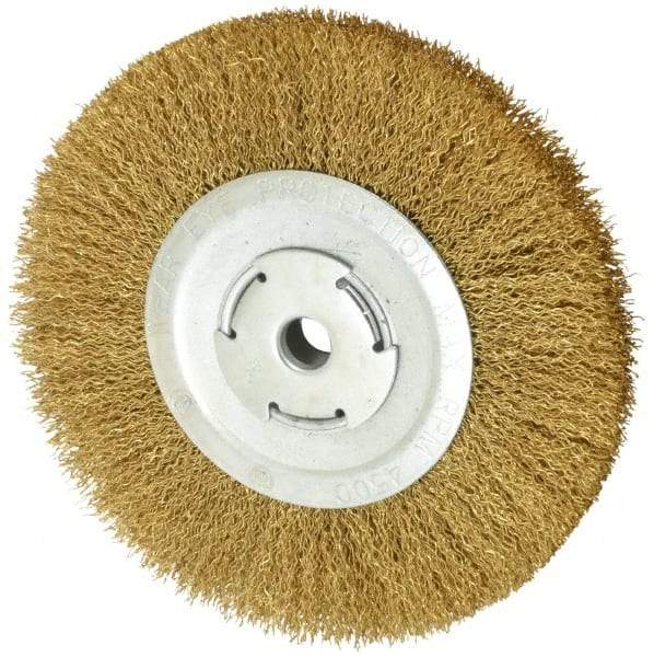 Value Collection - 8" OD, 5/8" Arbor Hole, Crimped Brass Wheel Brush - 1/2" Face Width, 1-3/4" Trim Length, 0.02" Filament Diam, 4,500 RPM - Exact Tool & Supply