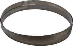 Starrett - 5 to 8 TPI, 12' 6" Long x 1-1/4" Wide x 0.042" Thick, Welded Band Saw Blade - Bi-Metal, Toothed Edge, Modified Tooth Set, Contour Cutting - Exact Tool & Supply