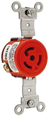 Leviton - 125 VAC, 15 Amp, 5-15R NEMA, Self Grounding Receptacle - 2 Poles, 3 Wire, Female End, Orange - Exact Tool & Supply