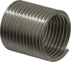 Recoil - 1/2-20 UNF, 3/4" OAL, Free Running Helical Insert - 12-3/8 Free Coils, Tanged, Stainless Steel, 1-1/2D Insert Length - Exact Tool & Supply