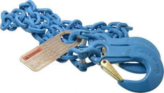Pewag - 5' Long, 5,200 Lb Basket Capacity, 5,200 Lb Vertical Capacity, 1 Ply, Alloy Steel Web Sling - 4,500 Lb Choker Capacity, SSS Chain Sling, 9/32" Diam Chain, Blue, with Sling Hooks on Each End - Exact Tool & Supply
