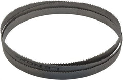 Lenox - 2 to 3 TPI, 12' 10-3/8" Long x 1-1/4" Wide x 0.042" Thick, Welded Band Saw Blade - Exact Tool & Supply