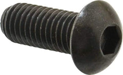 Holo-Krome - 1/2-13 UNC Hex Socket Drive, Button Screw - Alloy Steel, Black Oxide Finish, Fully Threaded, 1-1/4" Length Under Head - Exact Tool & Supply
