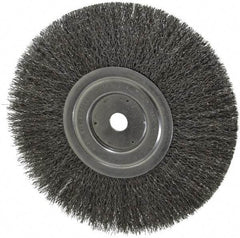 Weiler - 8" OD, 5/8" Arbor Hole, Crimped Steel Wheel Brush - 1/2" Face Width, 2-1/16" Trim Length, 0.0118" Filament Diam, 6,000 RPM - Exact Tool & Supply