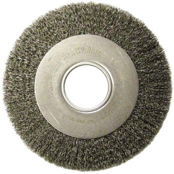Weiler - 6" OD, 2" Arbor Hole, Crimped Steel Wheel Brush - 1" Face Width, 1-1/8" Trim Length, 0.006" Filament Diam, 6,000 RPM - Exact Tool & Supply
