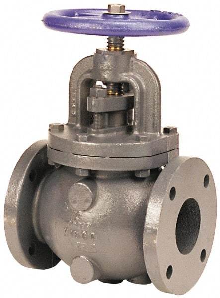 NIBCO - 2-1/2" Pipe, Flanged Ends, Iron Renewable Globe Valve - Iron Trim Disc, Bolted Bonnet, 200 psi WOG, 125 psi WSP, Class 125 - Exact Tool & Supply