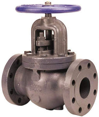 NIBCO - 6" Pipe, Flanged Ends, Iron Renewable Globe Valve - Bronze Disc, Bolted Bonnet, 500 psi WOG, 250 psi WSP, Class 250 - Exact Tool & Supply