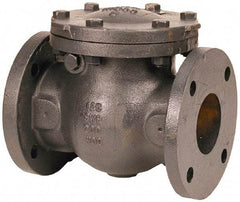 NIBCO - 5" Cast Iron Check Valve - Flanged, 200 WOG - Exact Tool & Supply