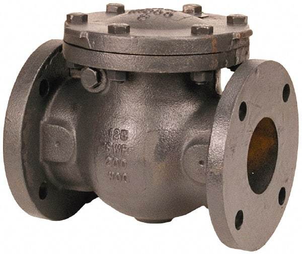 NIBCO - 6" Cast Iron Check Valve - Flanged, 200 WOG - Exact Tool & Supply