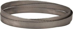 Lenox - 4 to 6 TPI, 11' 6" Long x 1-1/4" Wide x 0.042" Thick, Welded Band Saw Blade - Bi-Metal, Toothed Edge, Raker Tooth Set, Flexible Back - Exact Tool & Supply