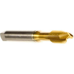 Emuge - M10x1.25 Metric Fine, 3 Flute, TiN Finish, Cobalt Spiral Point Tap - Plug Chamfer, Right Hand Thread, 2-15/16" OAL, 0.709" Thread Length, 0.381" Shank Diam, 6H Class of Fit, Series Rekord B - Exact Tool & Supply