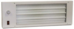 TPI - 22-3/4" Long, 580 BTU Radiant Heat Panel - 120 Volts, 170 Watts - Exact Tool & Supply