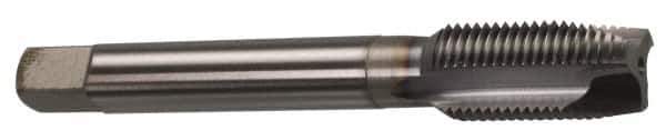 OSG - 1/4-28 UNF, 3 Flute, TiCN Finish, Powdered Metal Spiral Point Tap - Plug Chamfer, Right Hand Thread, 2-1/2" OAL, 1" Thread Length, 0.255" Shank Diam, Series 312 - Exact Tool & Supply