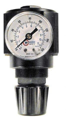Coilhose Pneumatics - 1/2 NPT Port, 120 CFM, Cast Aluminum Standard Regulator - 0 to 60 psi Range, 250 Max psi Supply Pressure, 1/4" Gauge Port Thread, 2-3/4" Wide x 5-1/2" High - Exact Tool & Supply