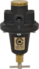 Coilhose Pneumatics - 1/2 NPT Port, 80 CFM, Cast Aluminum Tamper Proof Heavy-Duty T-Handle Regulator - 0 to 125 psi Range, 250 Max psi Supply Pressure, 1/4" Gauge Port Thread, 4" Wide x 7" High - Exact Tool & Supply