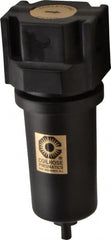 Coilhose Pneumatics - 3/4" Port Coalescing Filter - Exact Tool & Supply