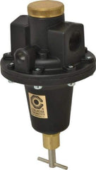 Coilhose Pneumatics - 3/4 NPT Port, 160 CFM, Cast Aluminum Tamper Proof Heavy-Duty T-Handle Regulator - 0 to 200 psi Range, 250 Max psi Supply Pressure, 1/4" Gauge Port Thread, 5" Wide x 8-1/2" High - Exact Tool & Supply