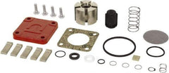Tuthill - Repair Part Kit - For Use with Diaphragm Pumps - Exact Tool & Supply