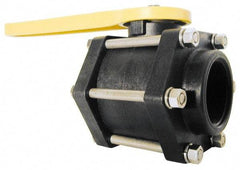 Green Leaf - 3" Pipe, Standard Port, Polypropylene Standard Ball Valve - 3 Piece, Inline - One Way Flow, FNPT x FNPT Ends, Lever Handle, 100 WOG - Exact Tool & Supply