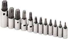 SK - 12 Piece 1/4, 3/8 & 1/2" Drive Torx Bit Socket Set - T10 to T60 Torx - Exact Tool & Supply