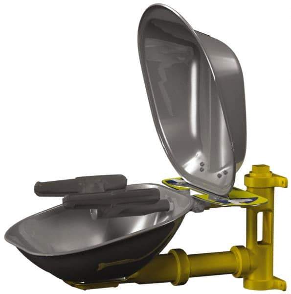 Bradley - Wall Mount, Stainless Steel Bowl, Eye & Face Wash Station - Exact Tool & Supply