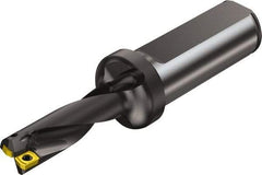 Sandvik Coromant - 42mm Max Drill Depth, 3xD, 13mm Diam, Indexable Insert Drill - 2 Inserts, 20mm Shank Diam, Flange Shank - Exact Tool & Supply