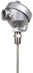 Thermo Electric - -148 to 900°F, 100 OMS Industrial RTD, Thermocouple Probe - 1/2 Inch Hex Mount, 12 Inch Probe Sheath Length, 10 Sec Response Time - Exact Tool & Supply