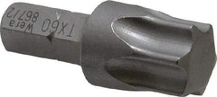 Wera - 5/16" Drive T60 Torx Screwdriver Bit - 1-3/8" OAL - Exact Tool & Supply
