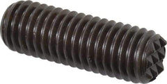 Fairlane - Serrated Tooth, 1/2-13, 3/16" Internal Hex, 1-1/2" Thread Length, Black Oxide Finish, Fully Threaded, Adjustable Positioning Gripper - Fine Tooth Grade - Exact Tool & Supply