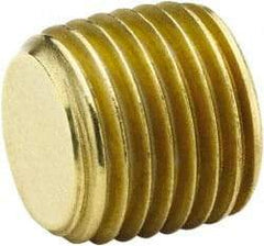 Parker - 3/4 Male Thread, Brass Industrial Pipe Hollow Hex Plug - MNPTF, 1,000 psi - Exact Tool & Supply