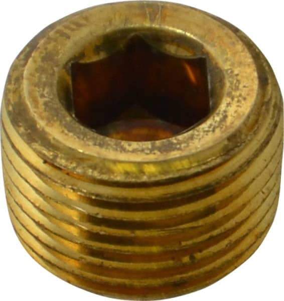 Parker - 3/8 Male Thread, Brass Industrial Pipe Hollow Hex Plug - MNPTF, 1,000 psi - Exact Tool & Supply