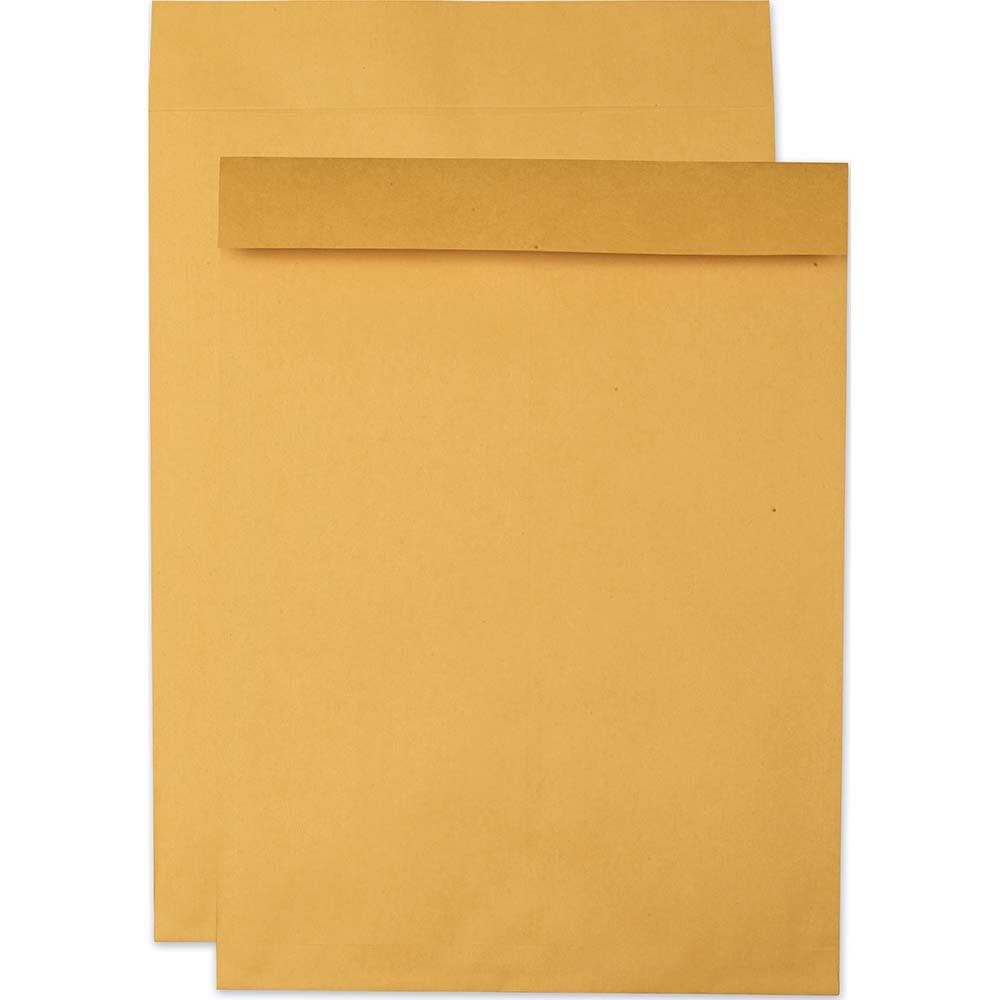 Quality Park - Mailers, Sheets & Envelopes; Type: Jumbo Envelope ; Style: Fold Flap ; Width (Inch): 22 ; Length (Inch): 17 ; Box Quantity: 25 ; Size: 17 x 22 - Exact Tool & Supply