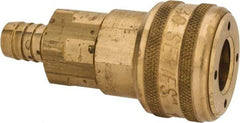 Parker - Hose Barb Industrial Pneumatic Hose Coupler - Brass, 1/2" Body Diam, 1/2" Hose ID - Exact Tool & Supply
