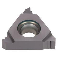 27ER60ISO T313V TUNGTHREAD INS LD G - Exact Tool & Supply