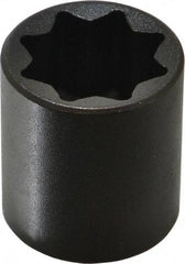 Proto - 1/2" Drive 13/16" Standard Impact Socket - 8 Points, 1-1/2" OAL - Exact Tool & Supply
