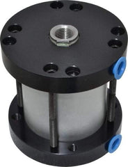 Parker - 2" Stroke x 2" Bore Double Acting Air Cylinder - 1/8 Port, 1/2-20 Rod Thread, -10 to 200°F - Exact Tool & Supply