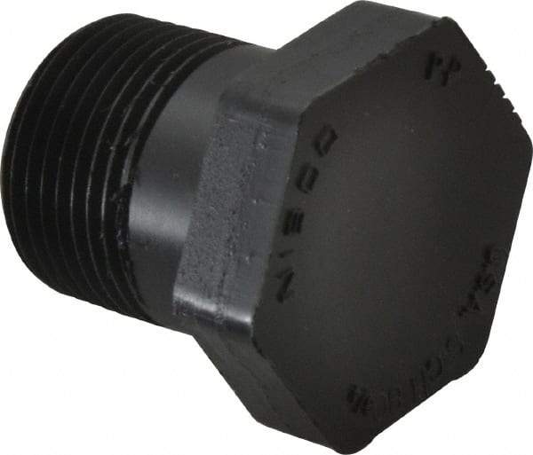 NIBCO - 3/4" Polypropylene Plastic Pipe Threaded Plug - Schedule 80, MPT End Connections - Exact Tool & Supply