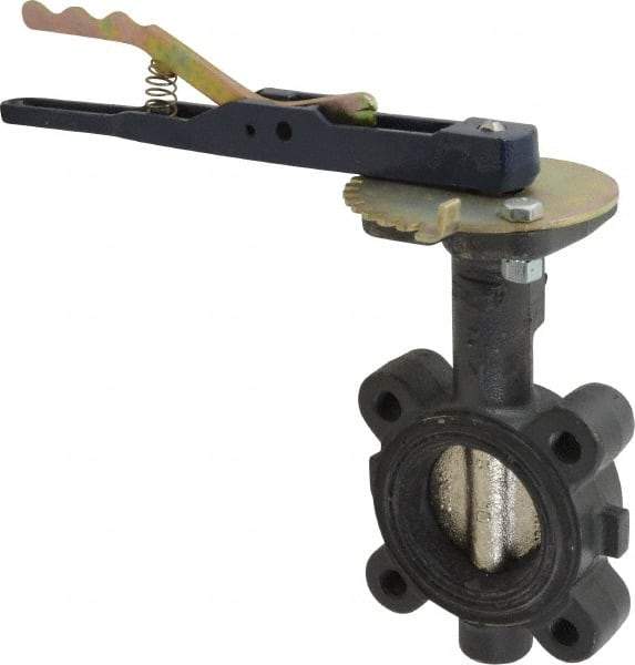 NIBCO - 2" Pipe, Lug Butterfly Valve - Lever Handle, Ductile Iron Body, EPDM Seat, 250 WOG, Ductile Iron Disc, Stainless Steel Stem - Exact Tool & Supply