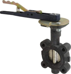 NIBCO - 2" Pipe, Lug Butterfly Valve - Lever Handle, Ductile Iron Body, EPDM Seat, 250 WOG, Ductile Iron Disc, Stainless Steel Stem - Exact Tool & Supply