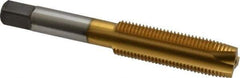Kennametal - 1/2-20 UNF, 3 Flute, TiN Finish, High Speed Steel Spiral Point Tap - Plug Chamfer, Right Hand Thread, 3.38" OAL, 1.656" Thread Length, 0.367" Shank Diam, 3B Class of Fit - Exact Tool & Supply